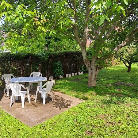 Oase * Balatonszárszó