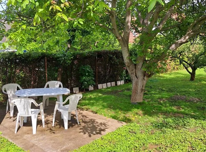 Oase * Balatonszárszó